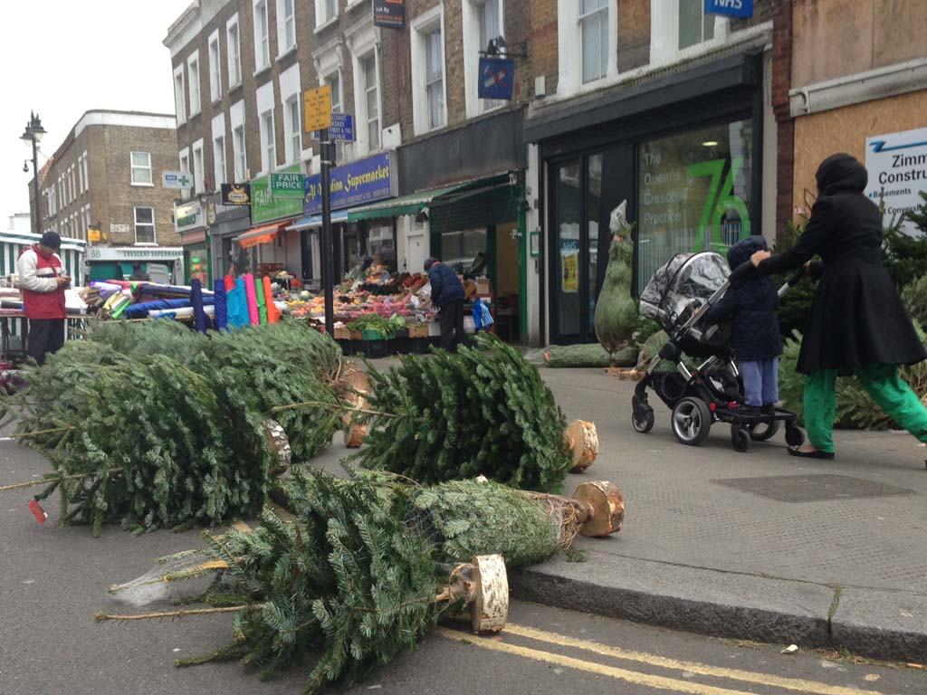 The best local bargain are the trees on Queen's Crescent. Photo: SE
