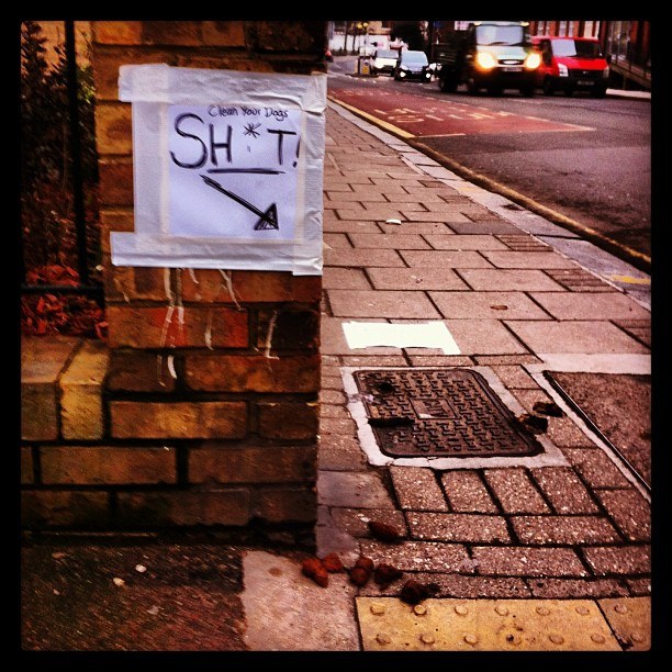 Reader Cara Lorrimer's sign on Highgate Road. Photo: Cara Lorrimer
