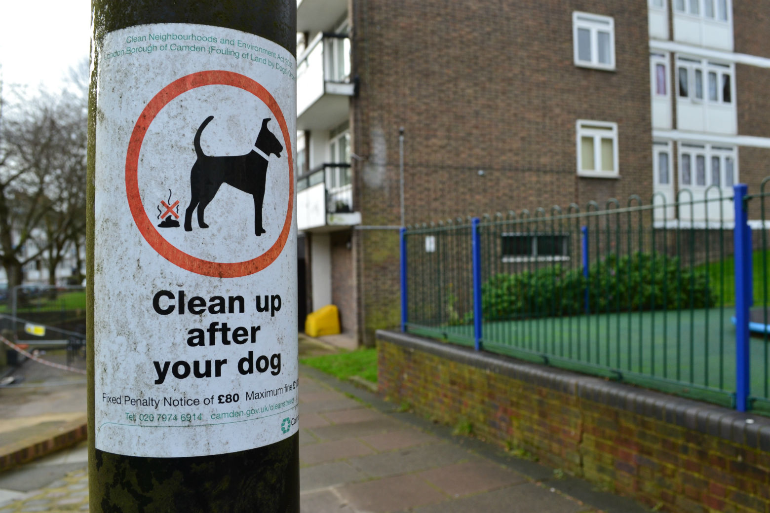 One of many clear Camden Council stickers across the borough. Photo: Stephen Emms