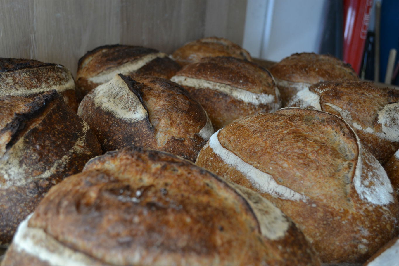 Sourdough at Bread by Bike, Brecknock Road
